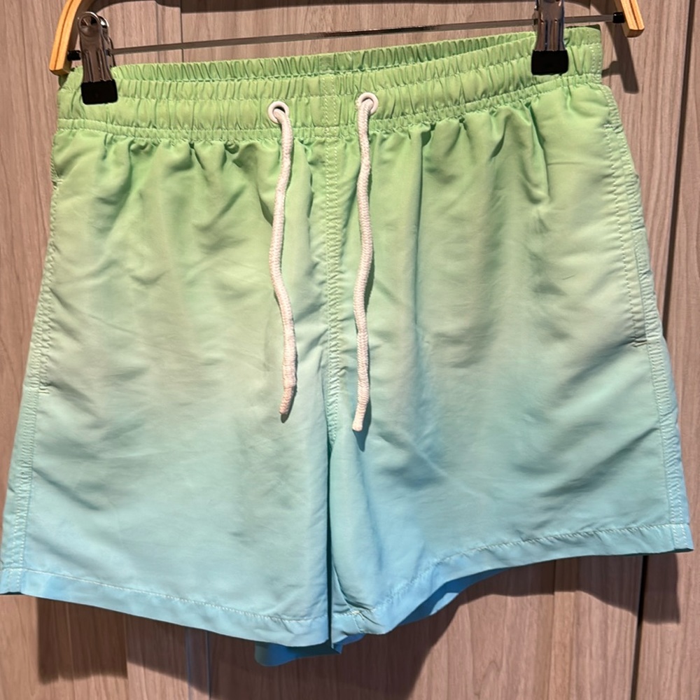 Bathing Suit